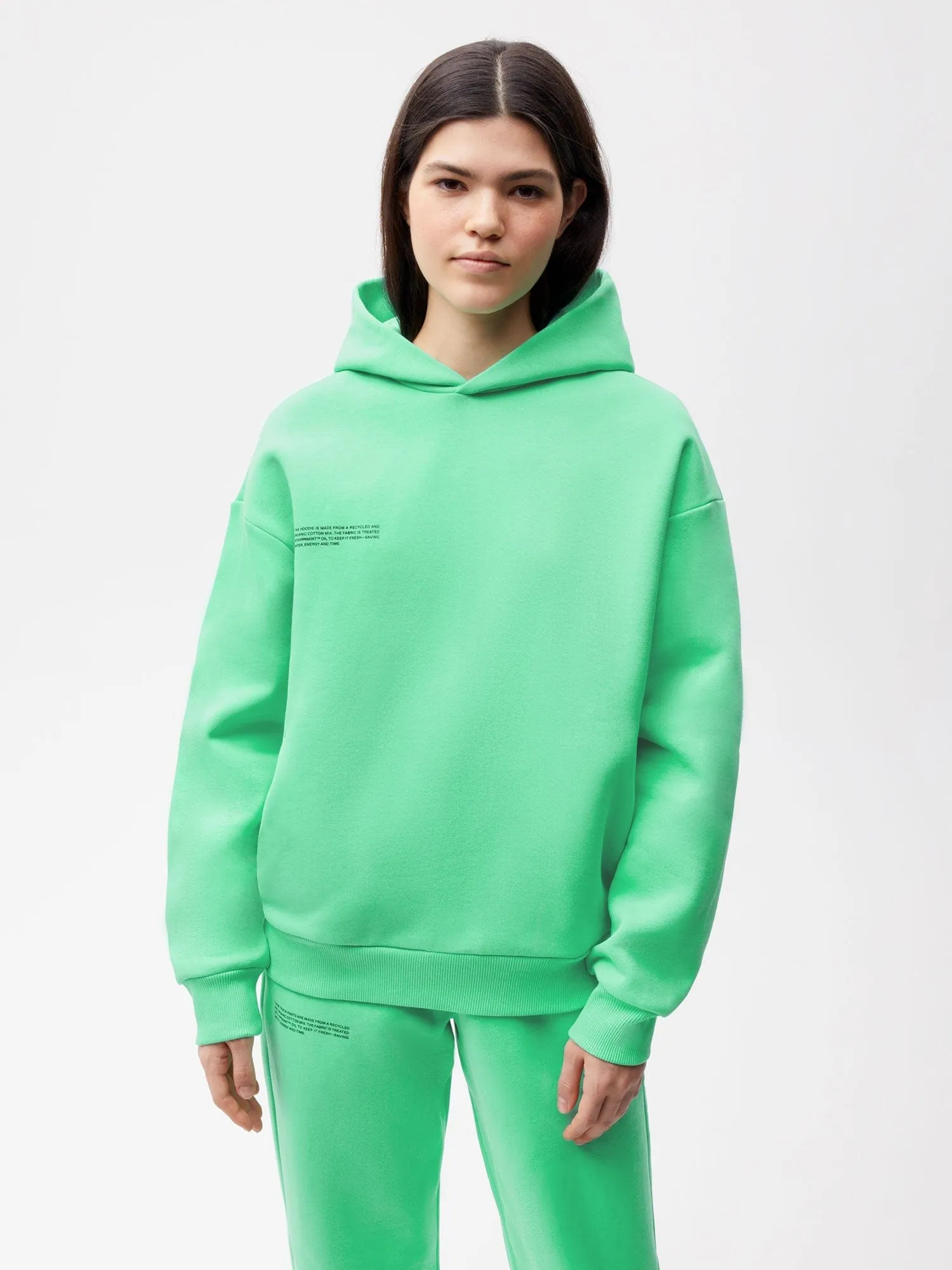 365 Heavyweight Hoodie—spearmint green