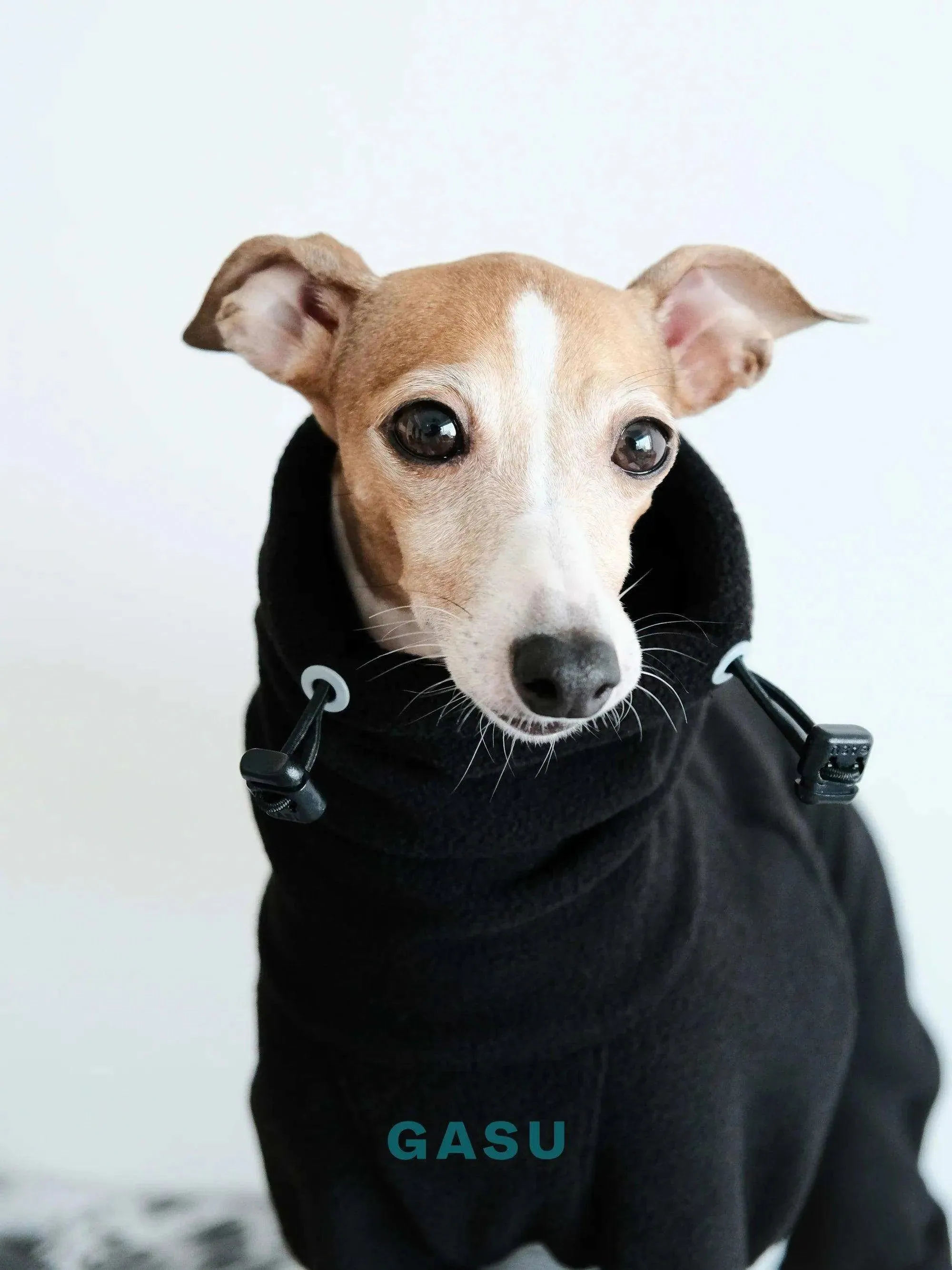 Adjustable 4-Leg Anti-static Fleece Dog Jumpsuit | Black