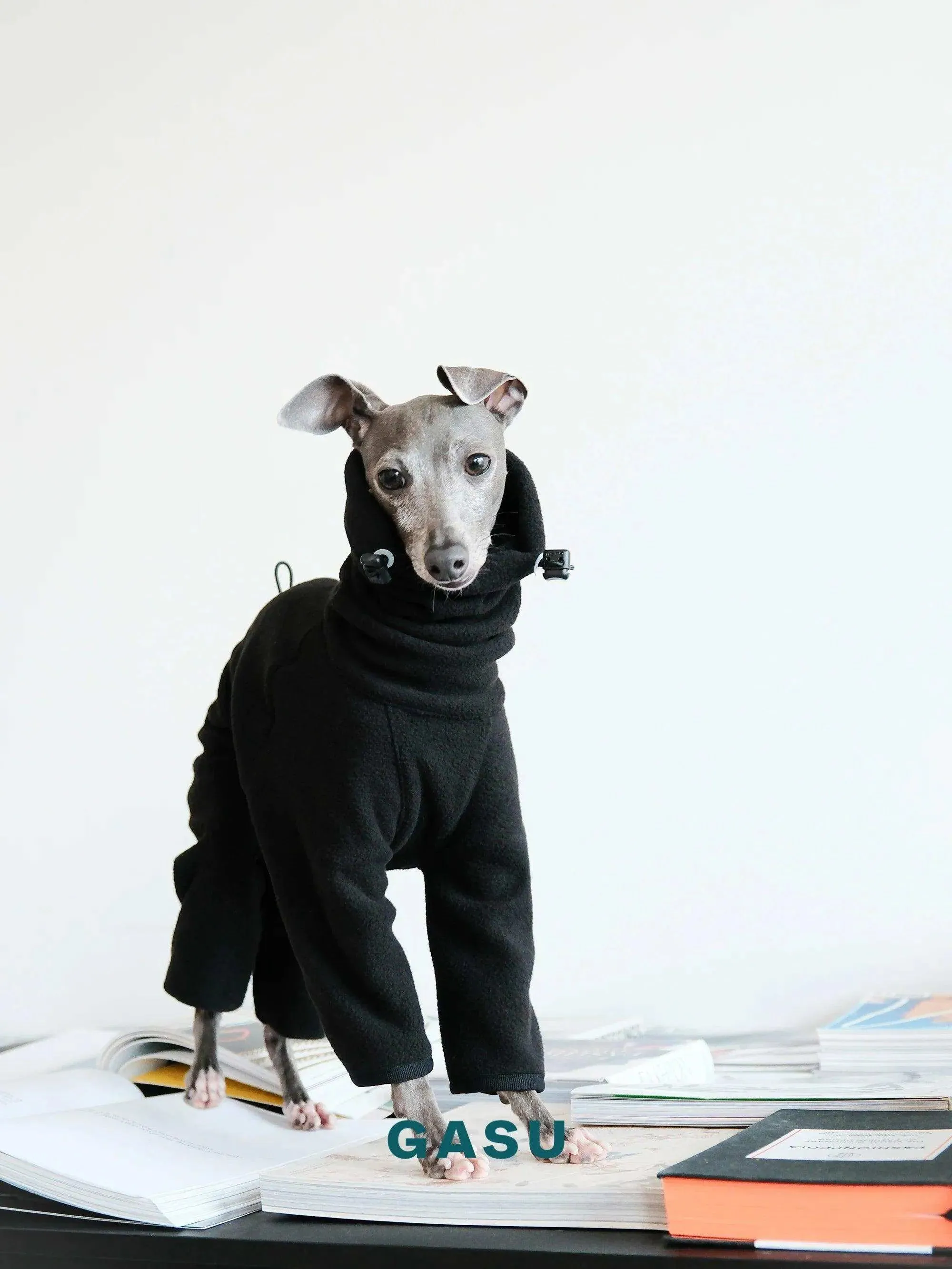 Adjustable 4-Leg Anti-static Fleece Dog Jumpsuit | Black