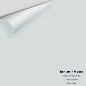 Benjamin Moore - Gray Cloud 2126-60 Colour Sample