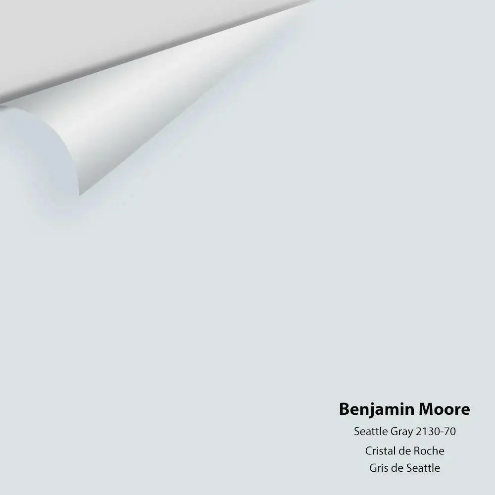 Benjamin Moore - Seattle Gray 2130-70 Colour Sample