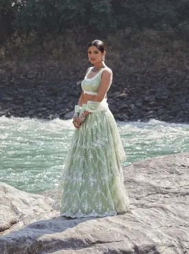 Mulmul Almora Green Net Lehenga